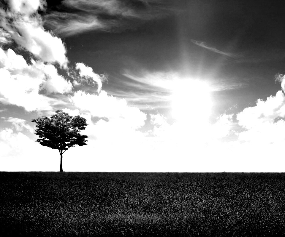 Один в целом мире обои