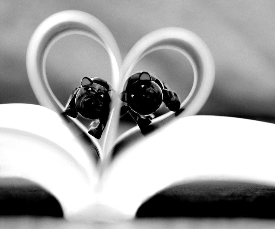 Фигурки мишек в книге обои