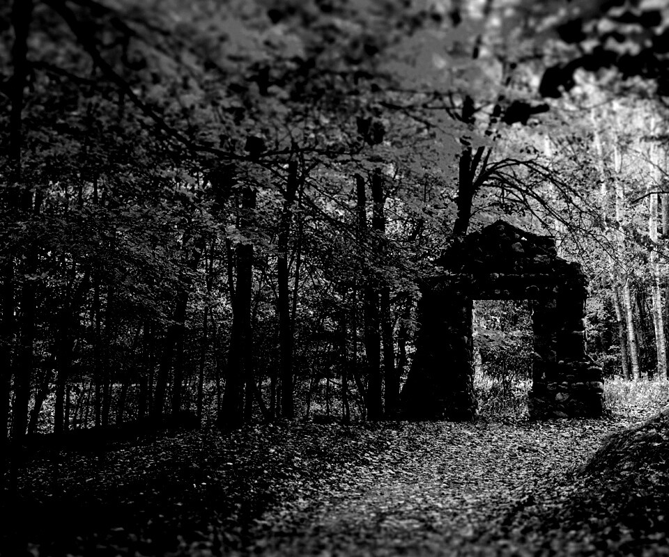 Каменная арка в осеннем лесу обои