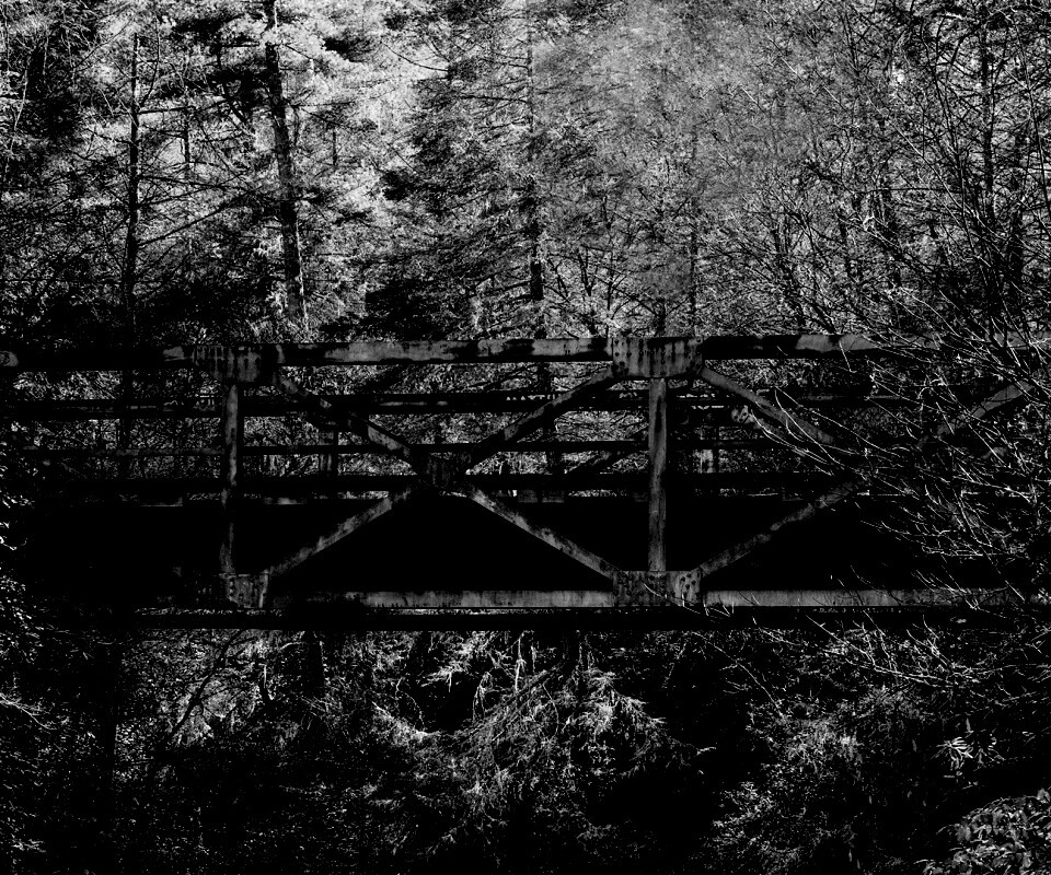 Металлический мост в лесной глуши обои