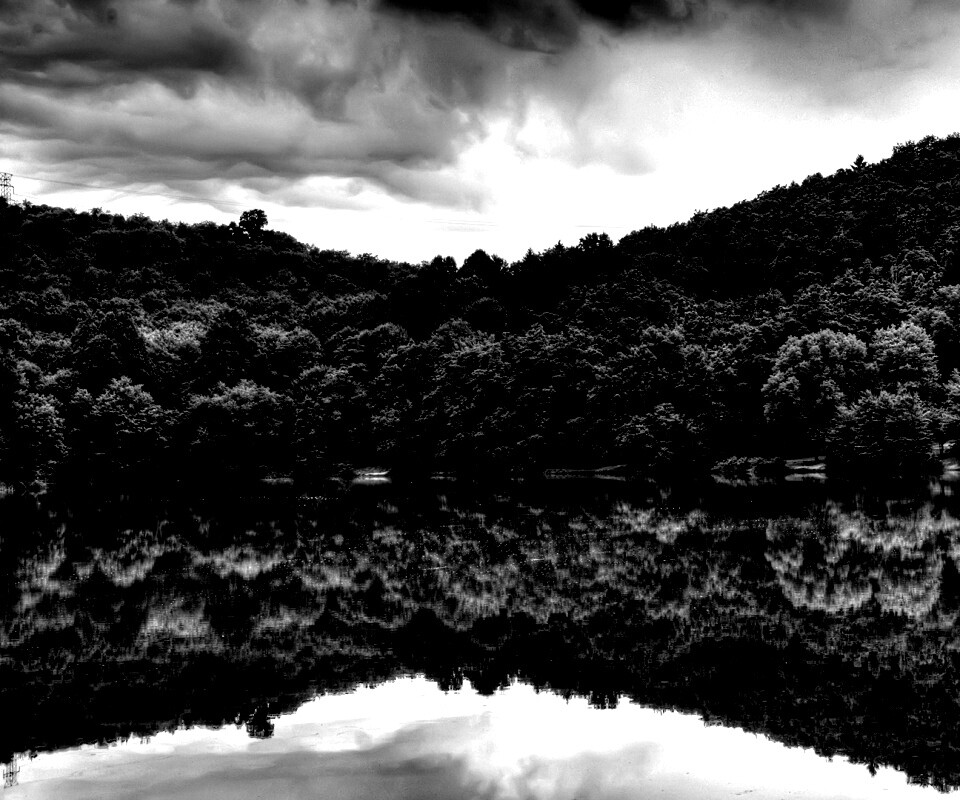 Лесной берег обои