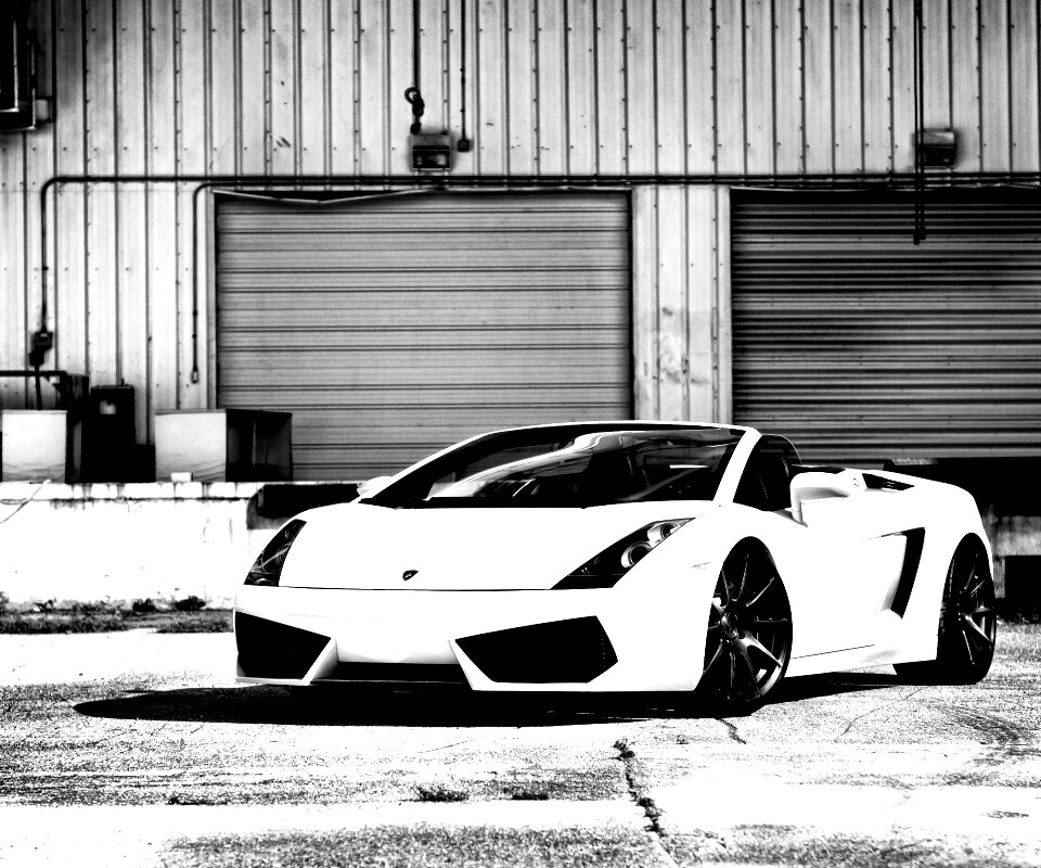 Белый спорткар Ламборгини Галлардо обои
