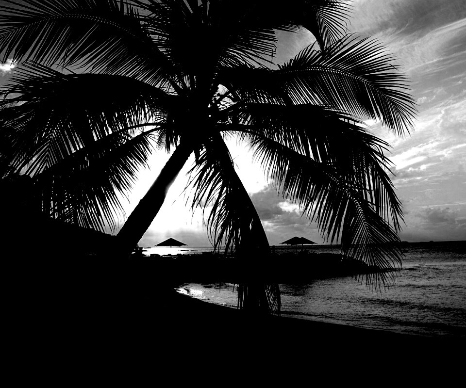 Пляж на закате обои