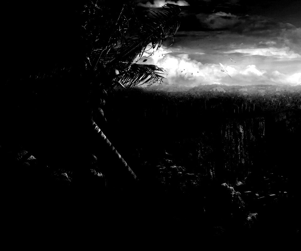 Вид на джунгли обои