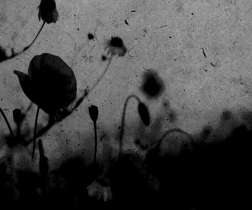 Кровавые цветы в стиле ретро обои