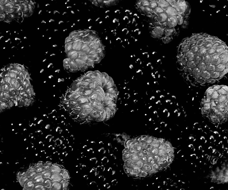 Малина и ежевика обои