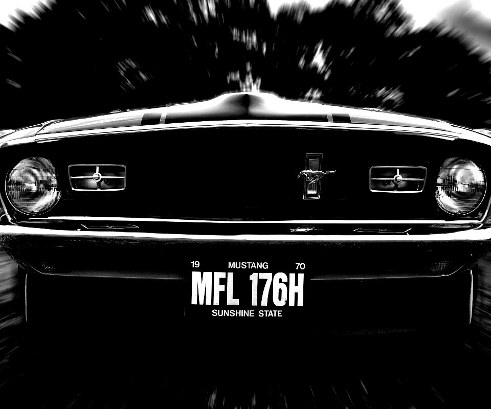 Мустанг обои