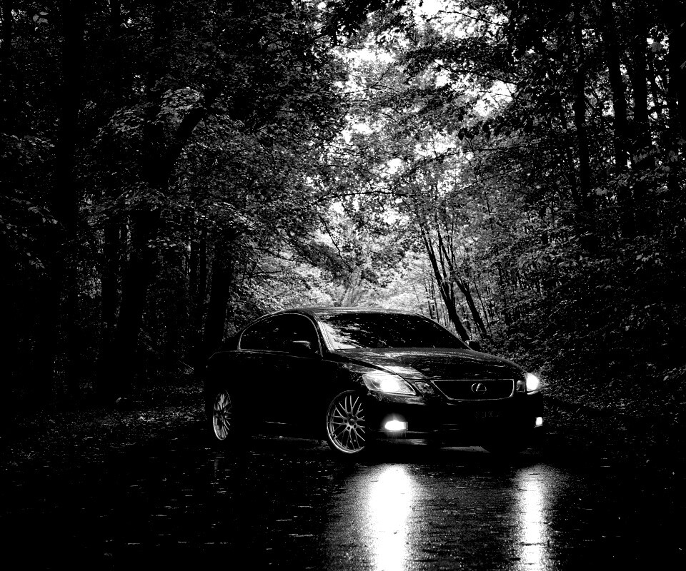 Лексус на лесной дороге обои