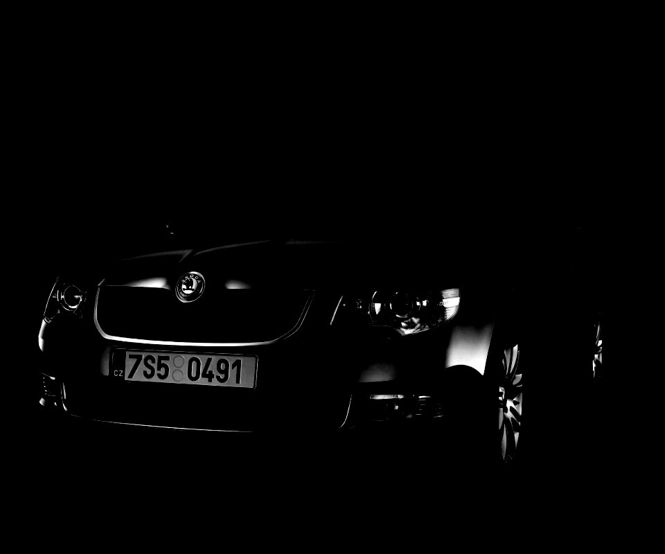 Шкода в темноте обои