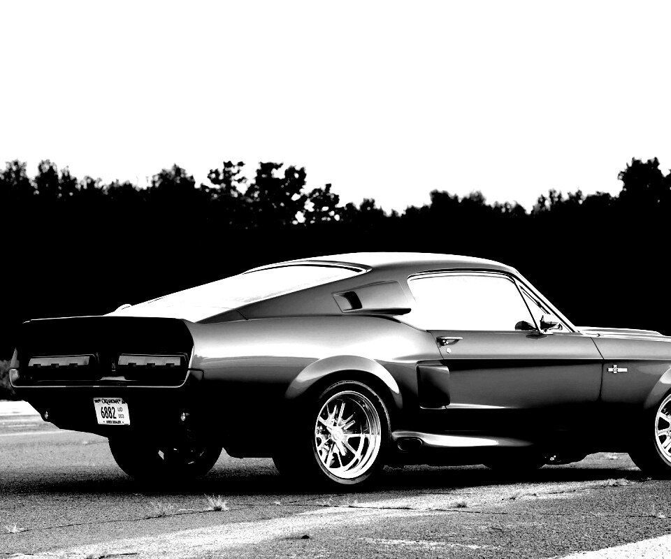 Shelby GT500 CR обои