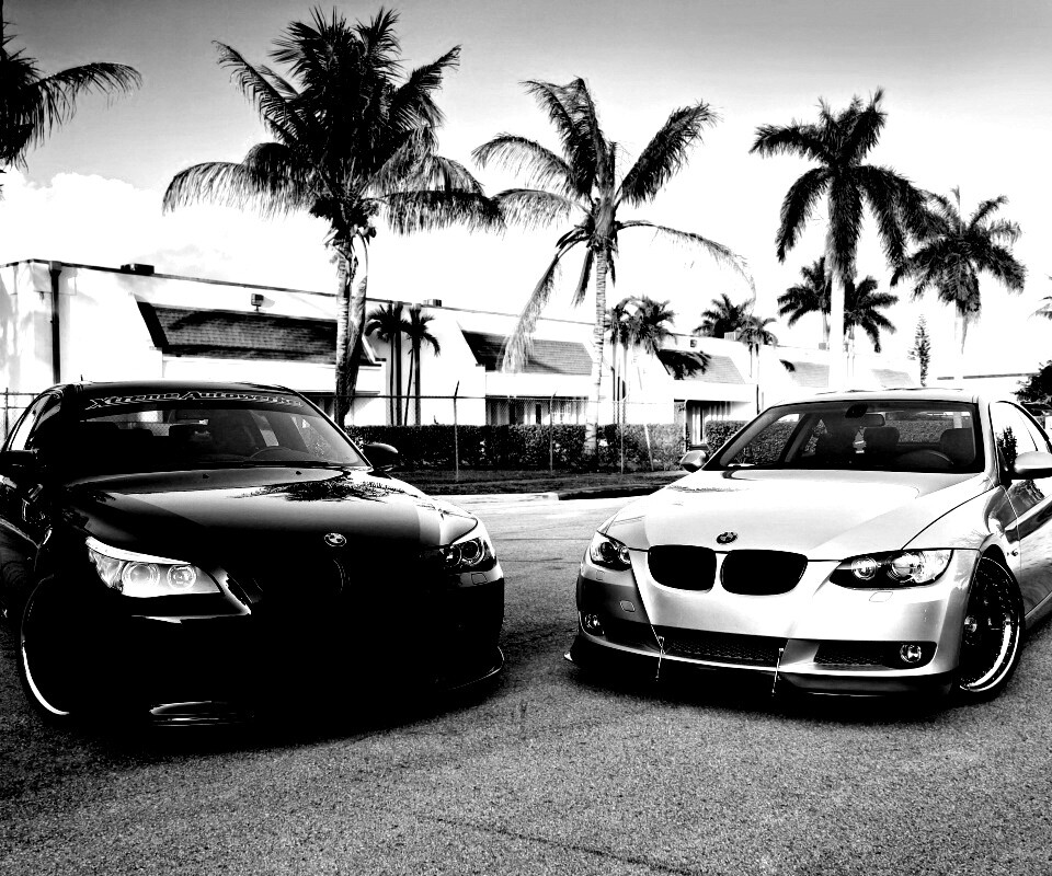 Две БМВ обои