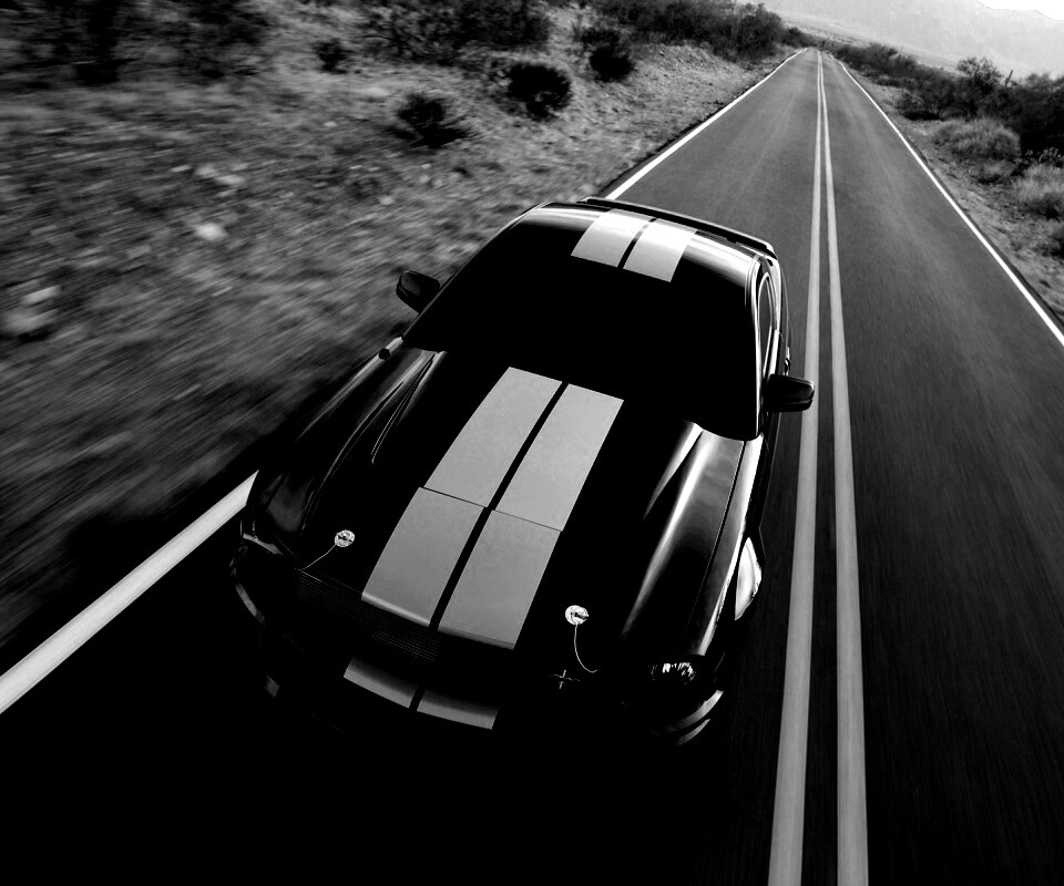 Ford Mustang  с гоночными полосками обои