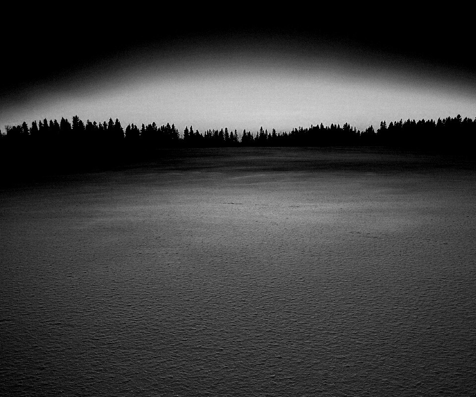 Восход над заснеженным лесом обои