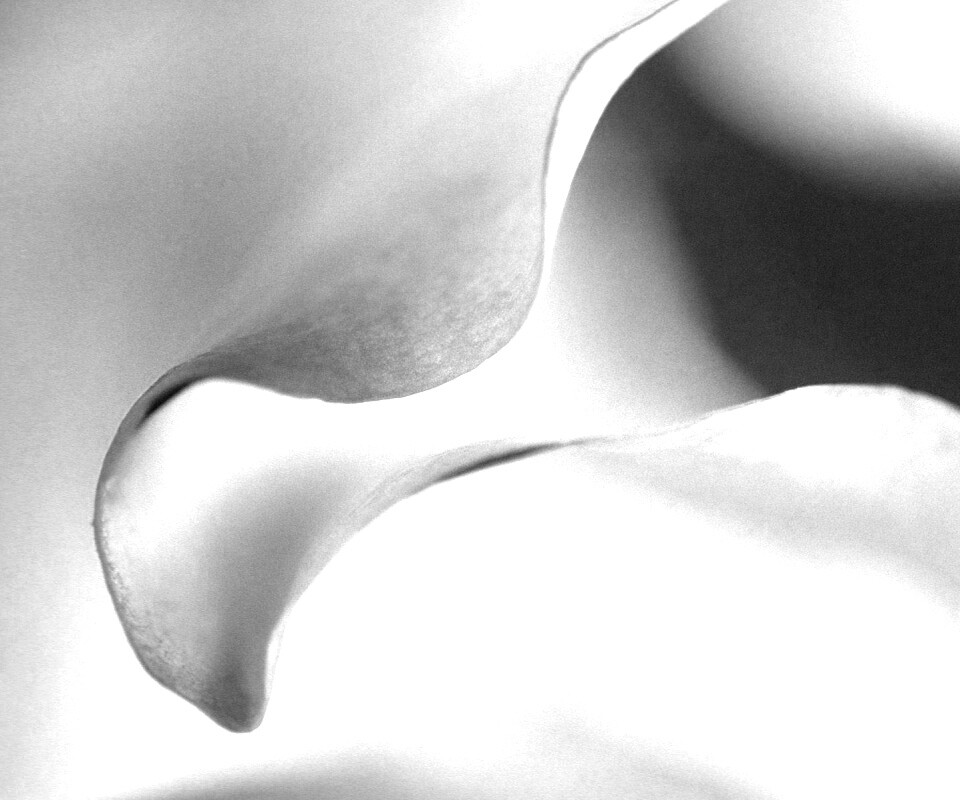 Оттенки природы обои