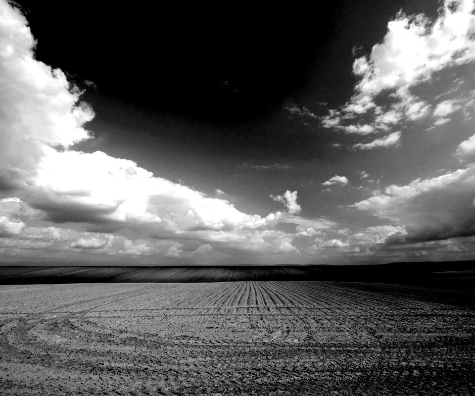 Незасеянное поле обои