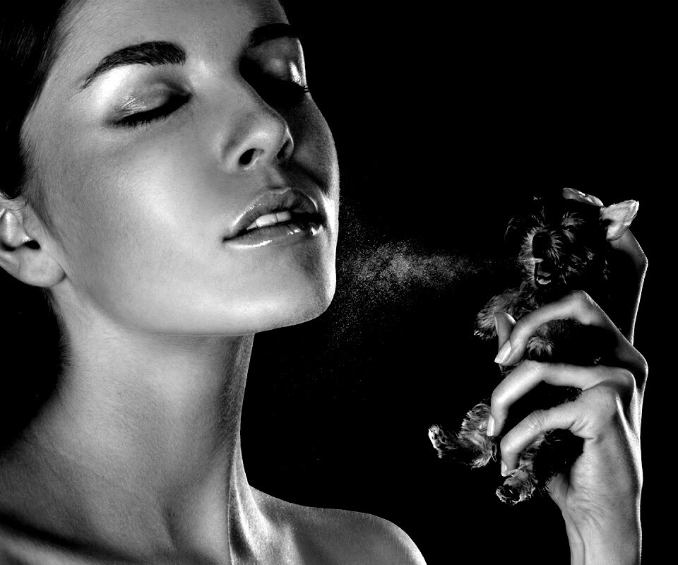 Соблюдайте гигиену обои