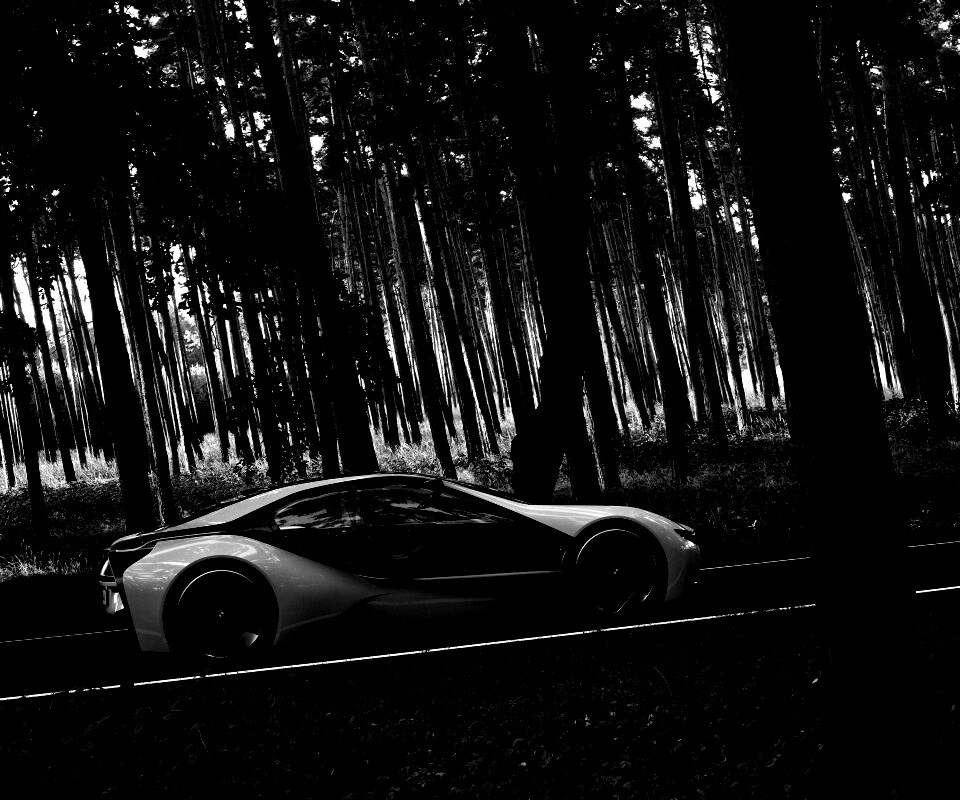 Спорткар BMW на лесной дороге обои