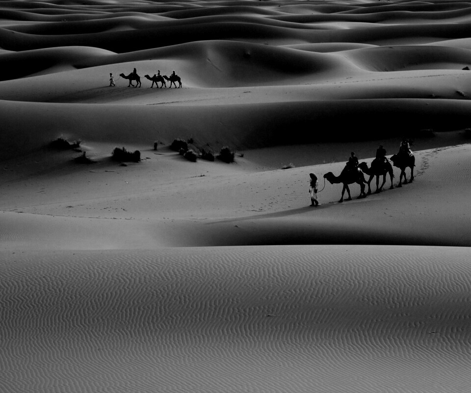 Караваны пустыни обои