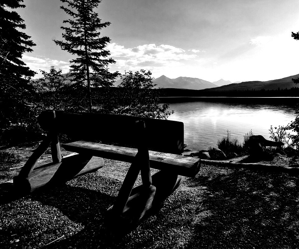 Деревянная скамья на берегу озера обои