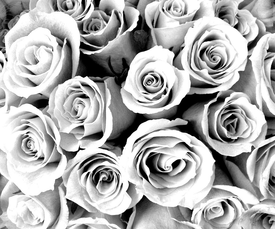 Букет роз обои