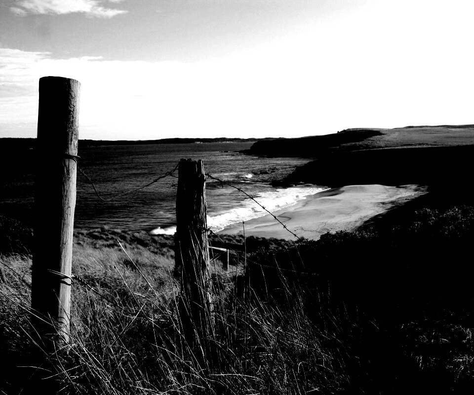 Пляж на озере обои