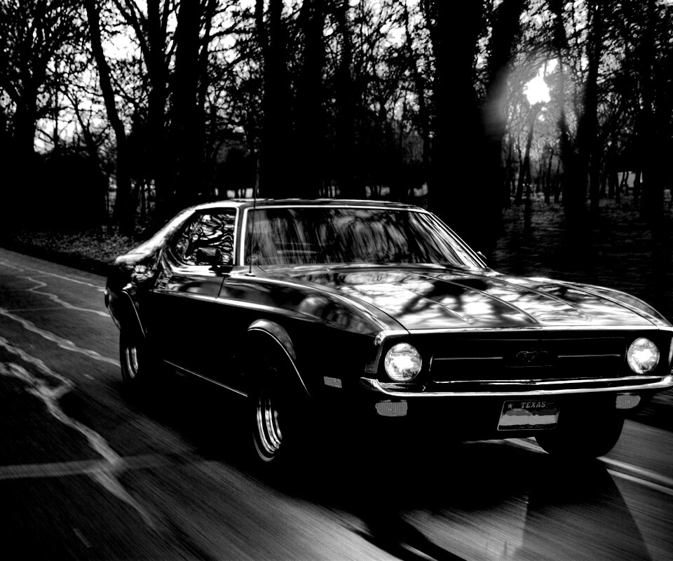 Мустанг обои