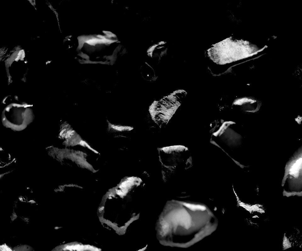 Ядра граната обои