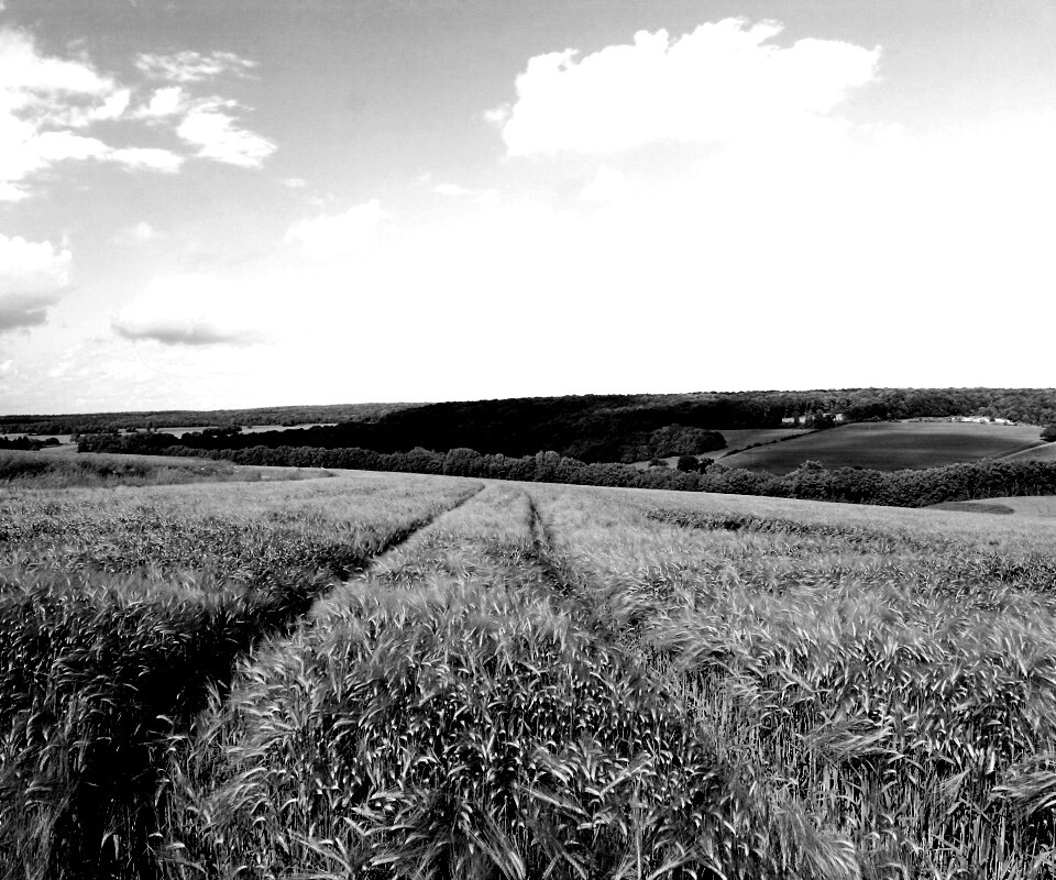 Бескрайние просторы обои