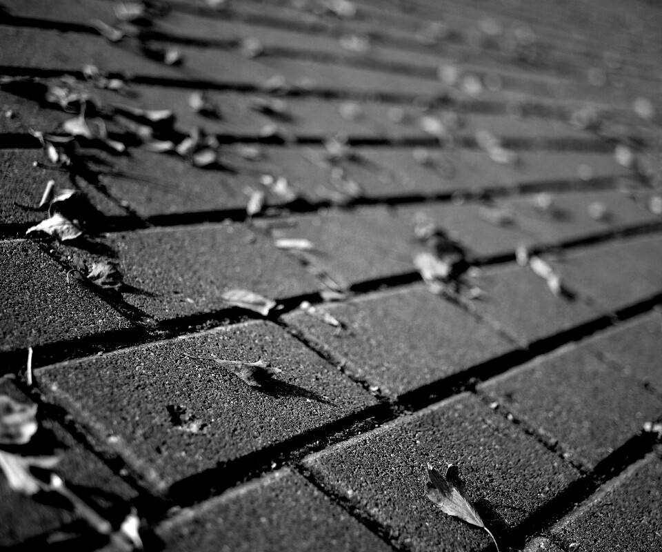 Тротуар обои