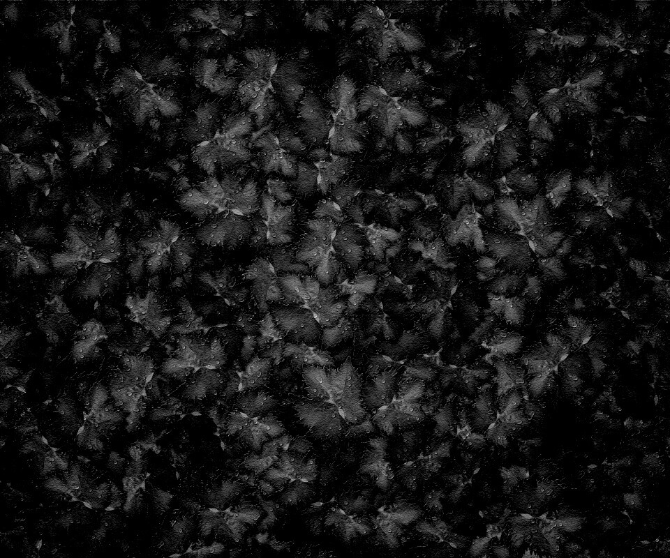 Осенние листья обои