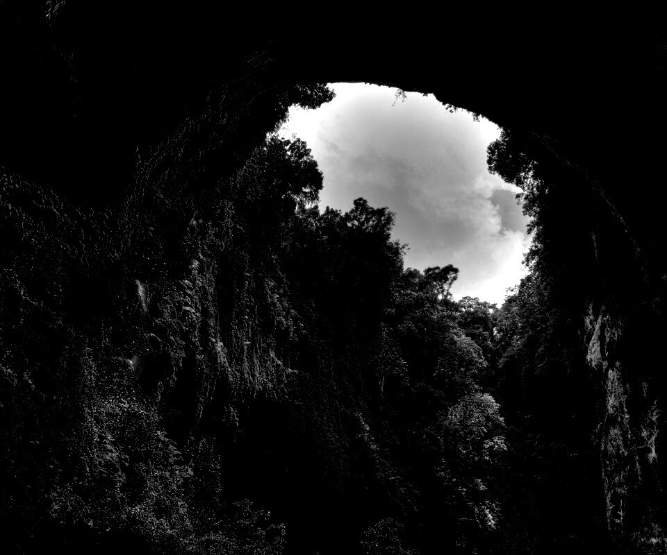 Заросшее ущелье обои