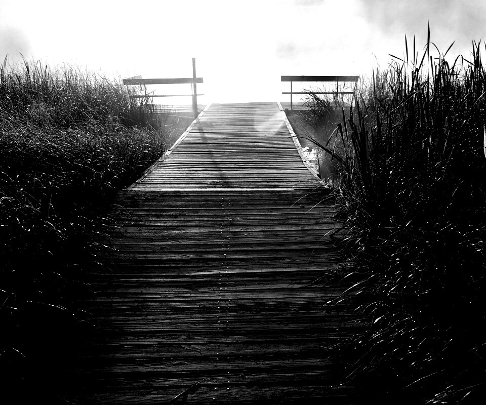 Выход к реке обои