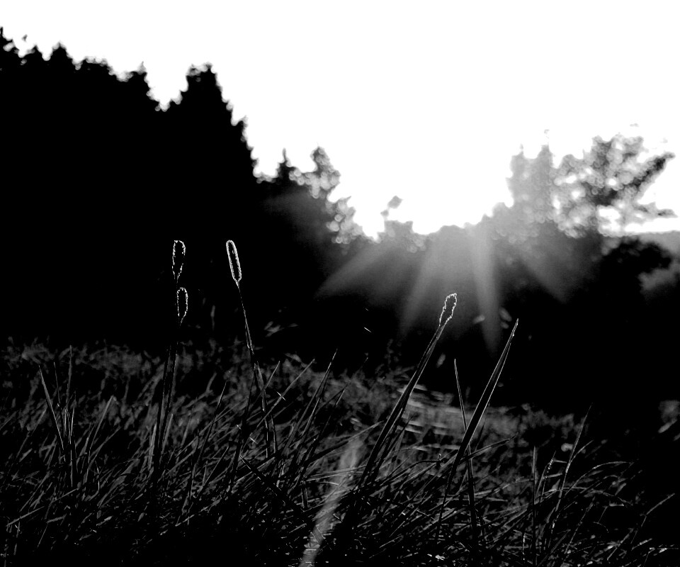 Красота природы обои