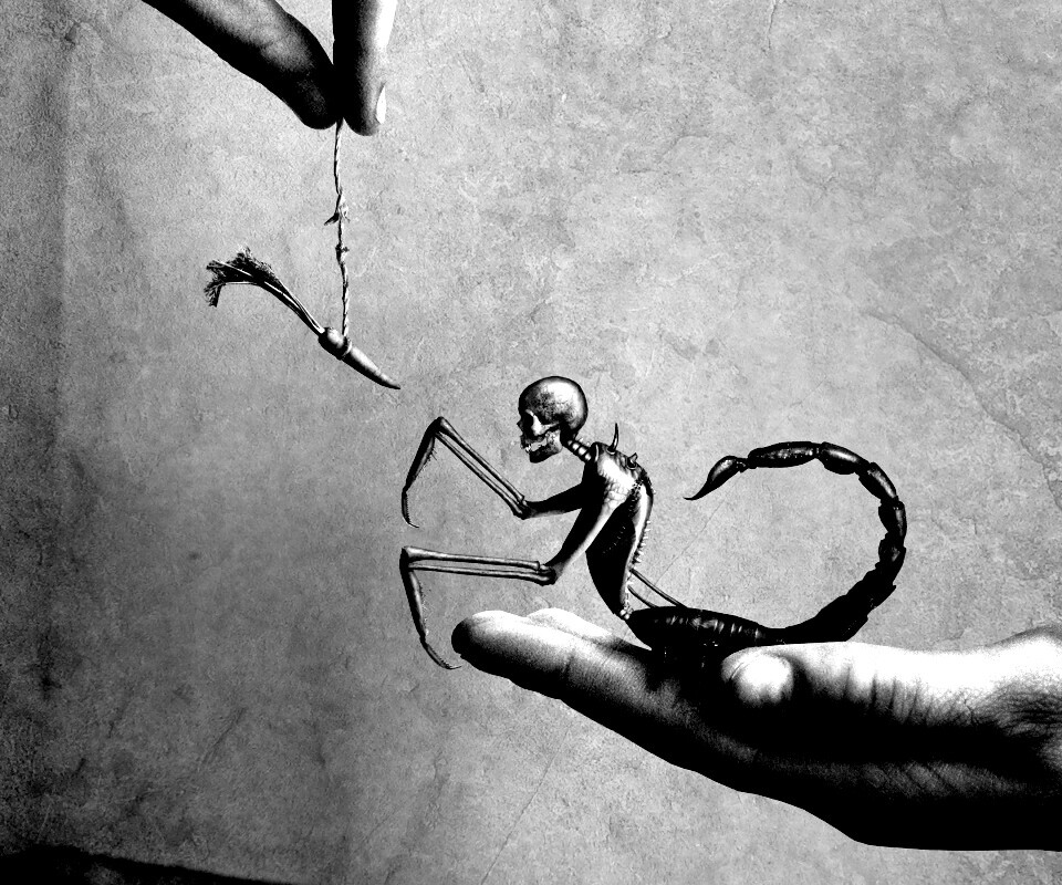 Кормёжка смерти обои