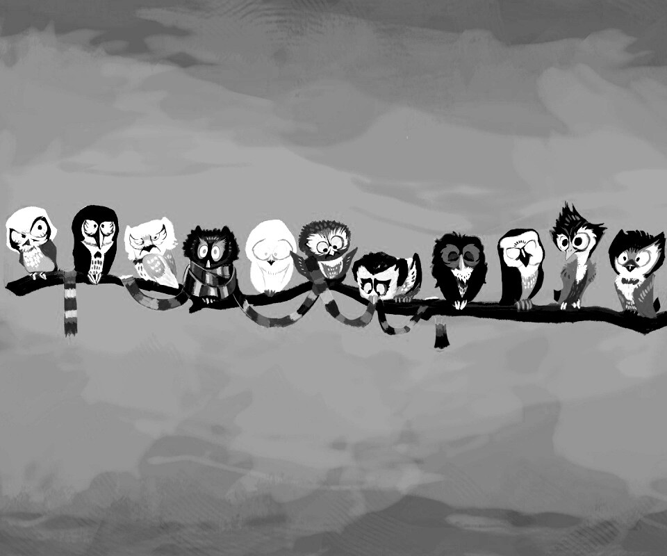 Совы на ветке обои