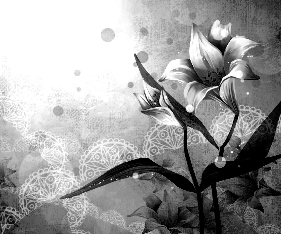 Красивое изображение лилии обои