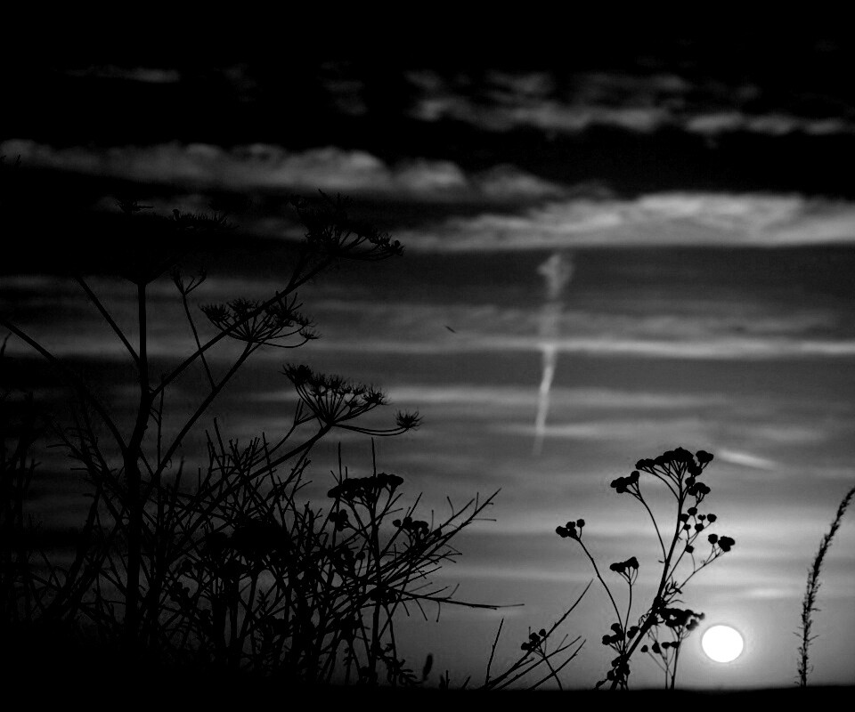 Степной закат обои