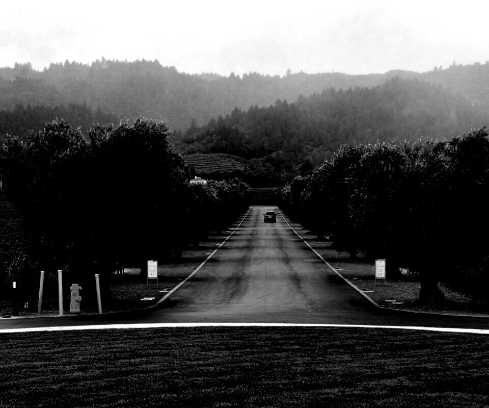 Сельский пейзаж обои