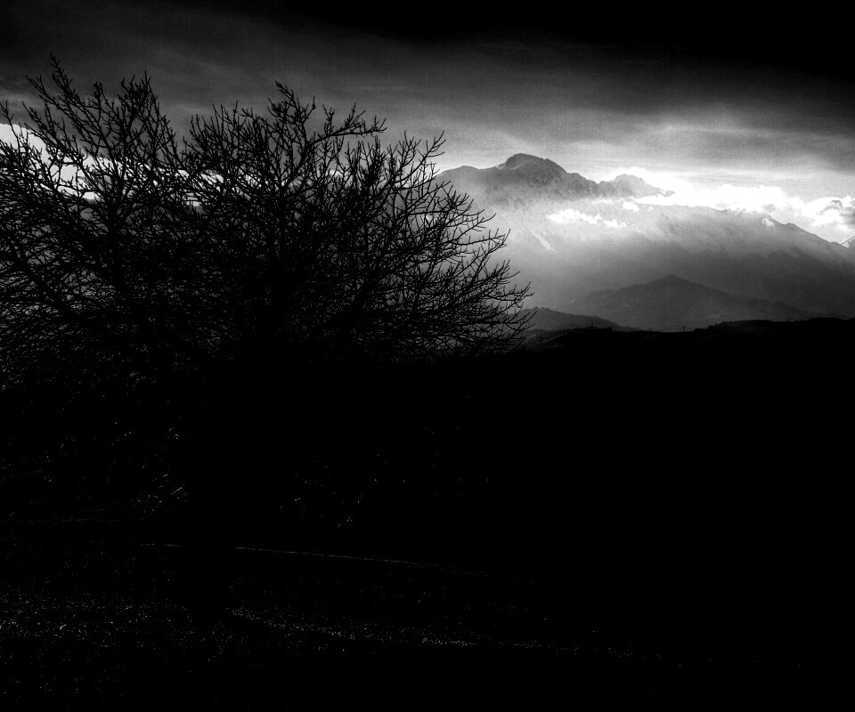 Дерево и горы обои