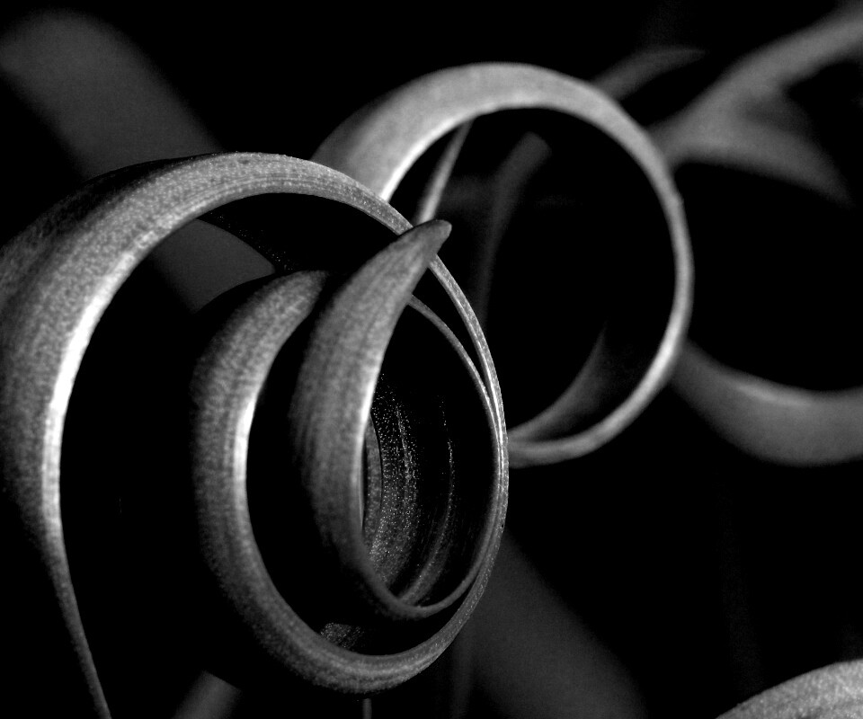 Зеленый обруч обои