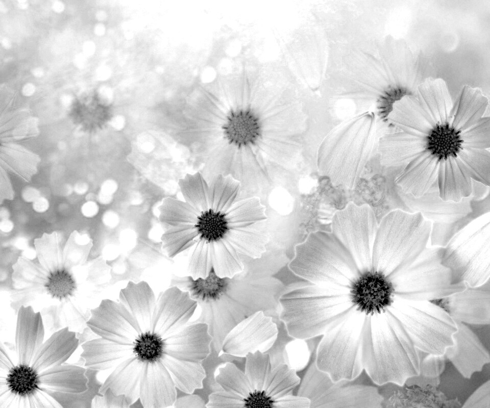 Цветочки обои