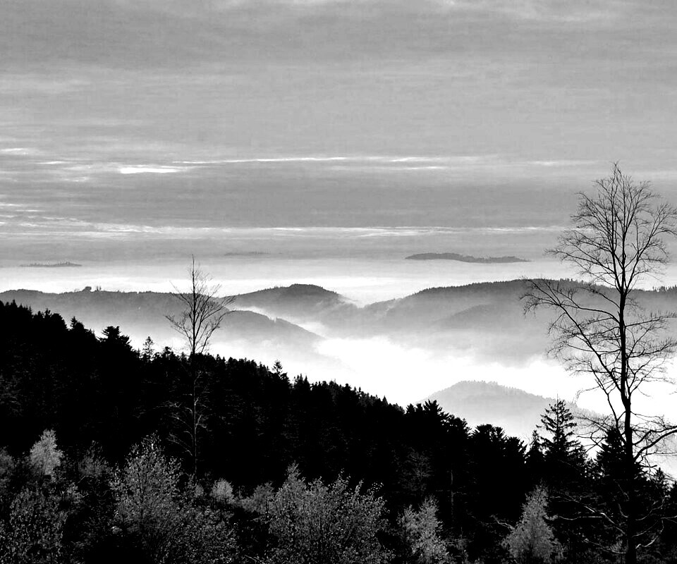 Холмы в тумане обои