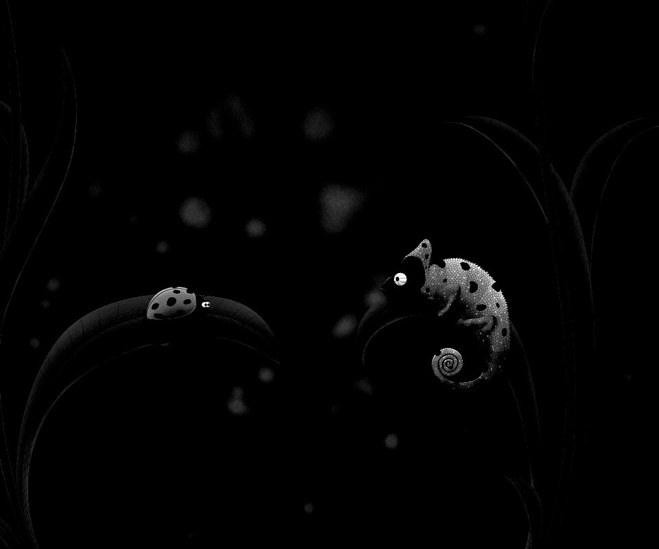 Хамелеон  замаскированный под божью коровку обои