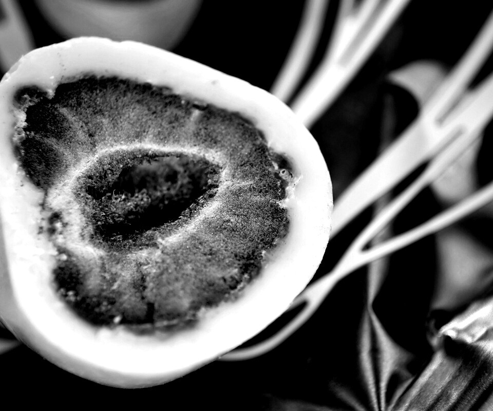 Клубника в белом шоколаде обои