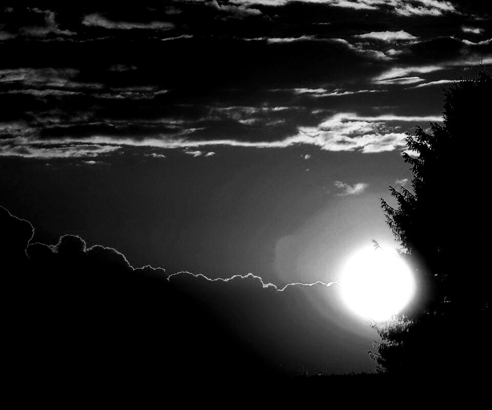 Теплый закат над полем обои