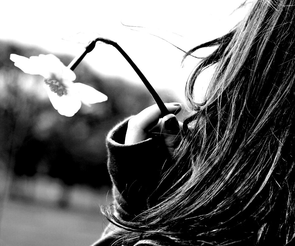 Девушка с нарциссом в руке обои