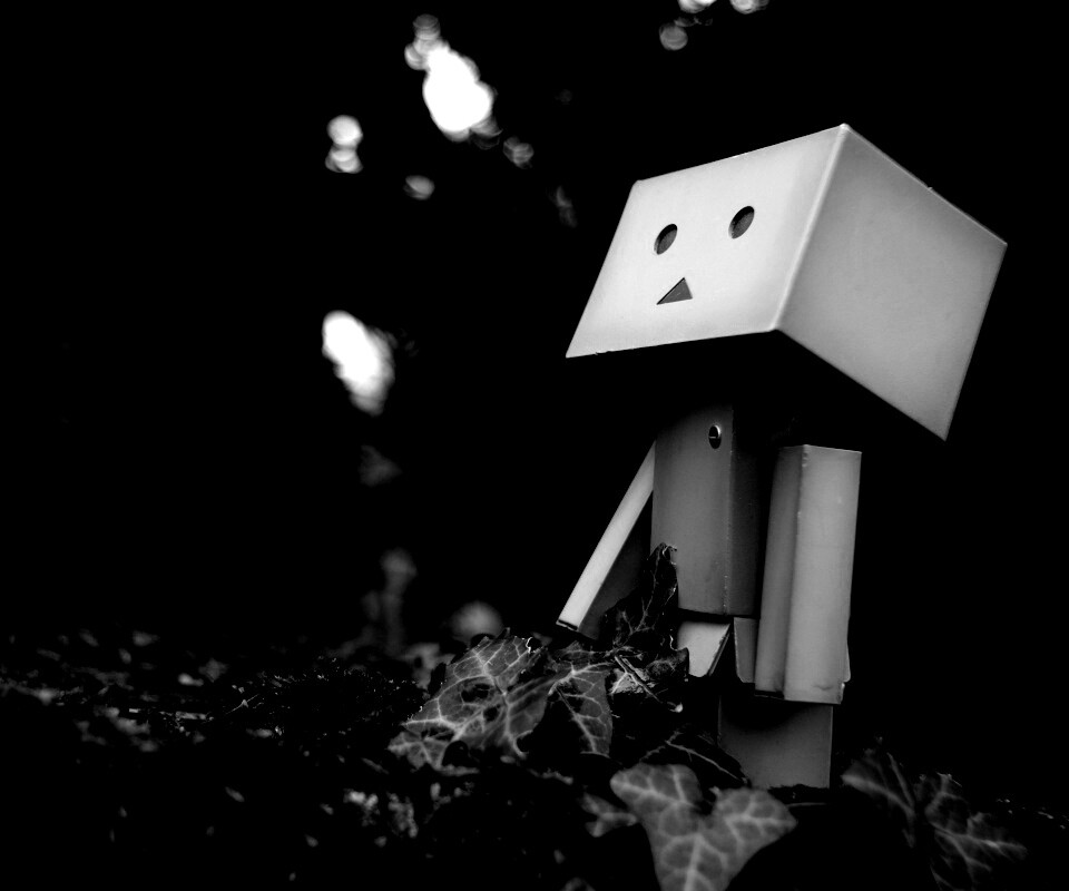 Danbo смотрит вверх обои