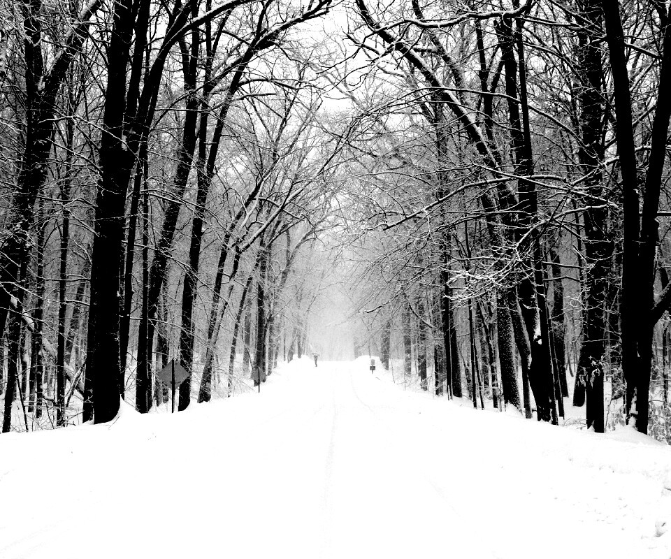 Дорога зимой в парке обои
