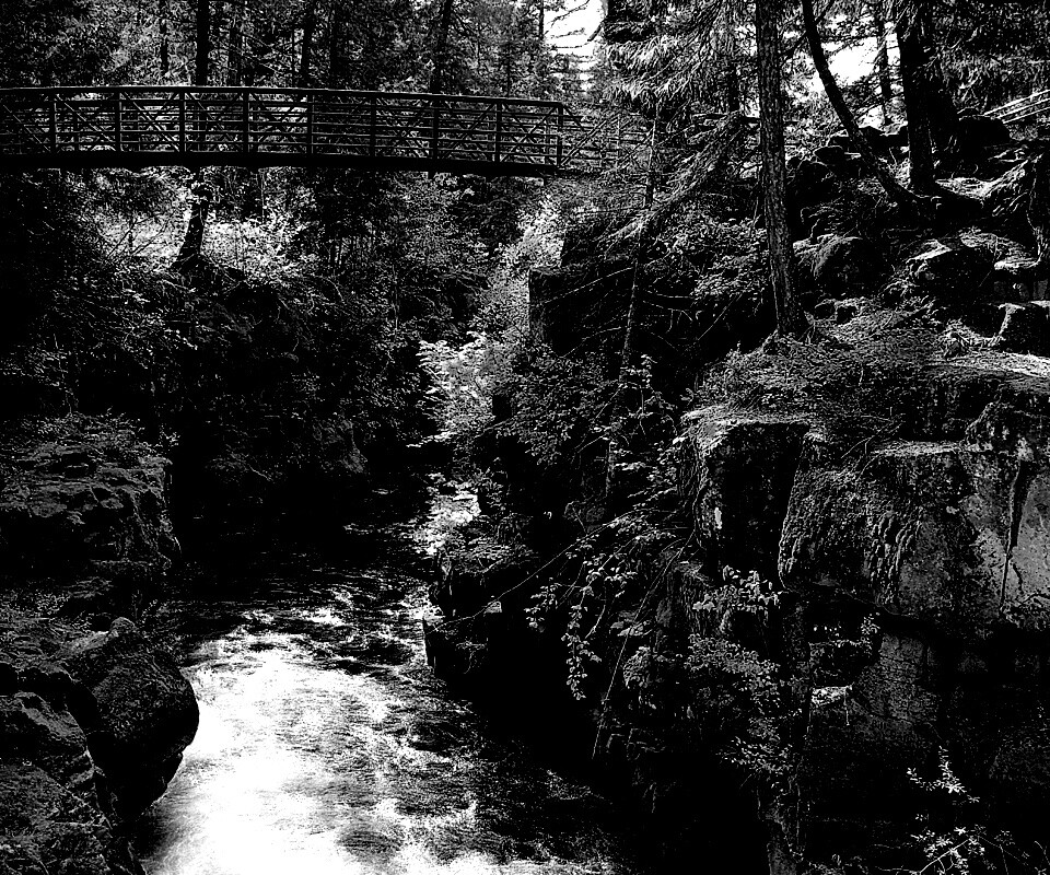 Мостик через реку в лесу обои