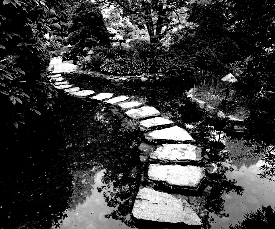 Дорожка через пруд обои